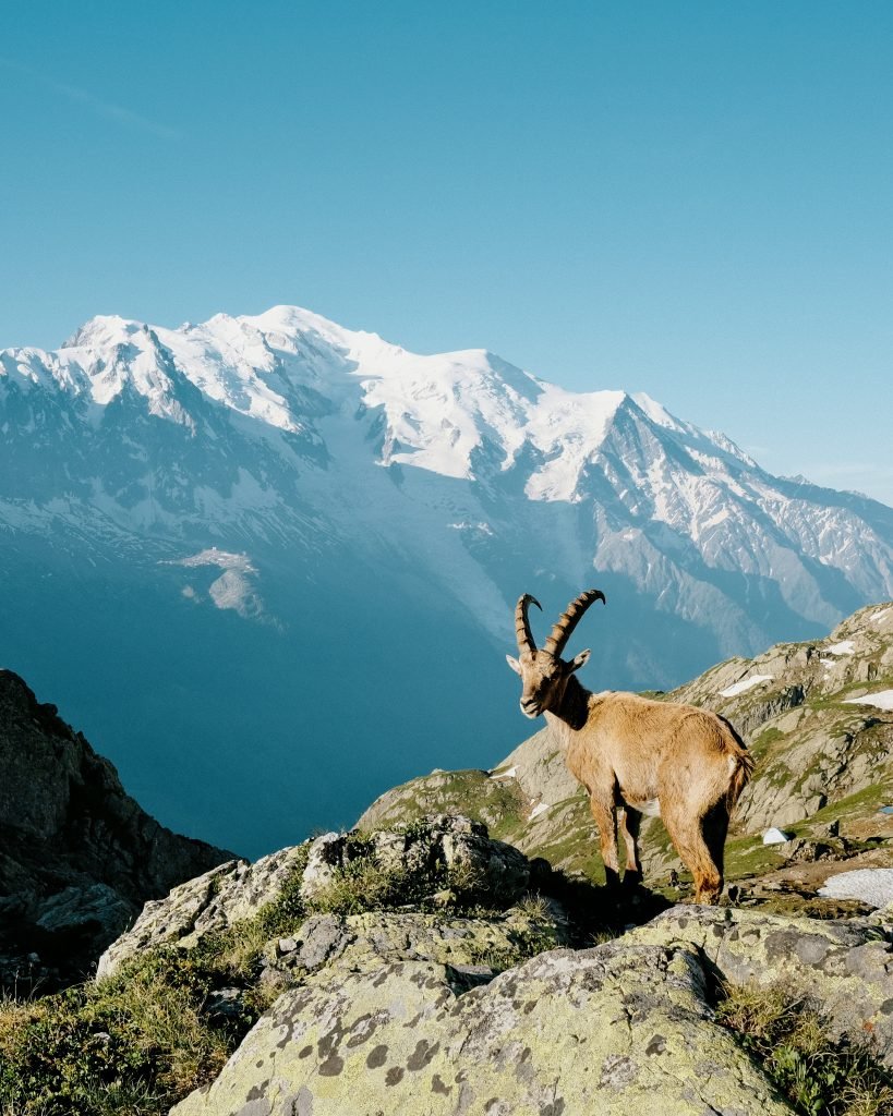 kotishala-alppiretriitti-25-14